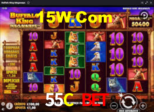 55C.Com