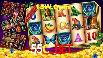 Segurança e performance na plataforma 55C Bet